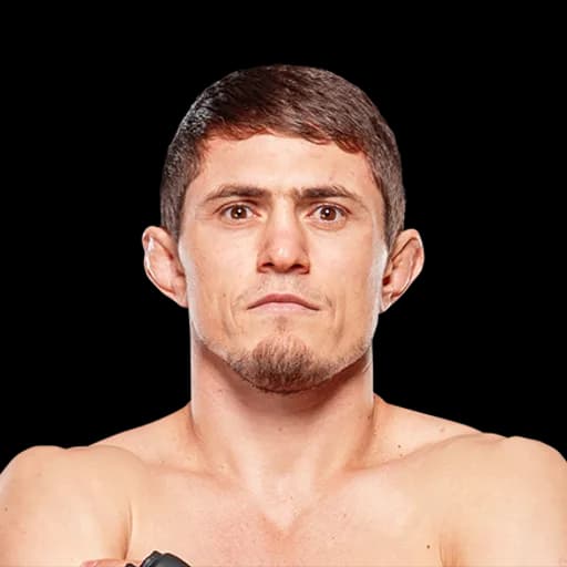 Shamil Musaev