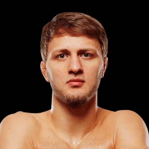 Ibragim Ibragimov